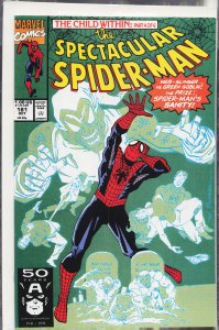 The Spectacular Spider-Man #181 (1991) Spider-Man