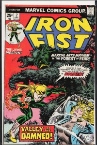 Iron Fist #2 (1975) Iron Fist