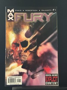 Fury  #1 (2001)