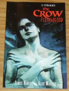 J. O'Barr's the Crow: Flesh & Blood TPB VF/NM alex maleev - dark horse 1st print