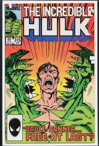 The Incredible Hulk #315 (1986) Hulk