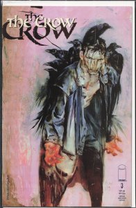 Crow #3 (1999)