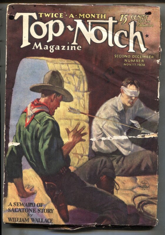 Top-Notch 11/15/1928-Thrilling pulp fiction-W. Wallace Cook-Pulp Magazine