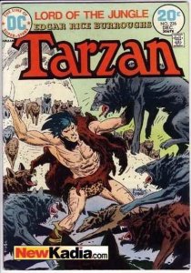 Tarzan (1972 series)  #226, VG+ (Stock photo)