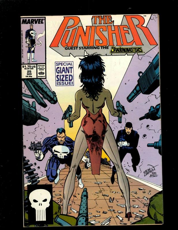 12 The Punisher Marvel Comic Books #18 19 20 21 22 23 24 25 26 27 28 29 HY3