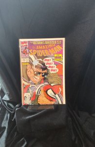 The Amazing Spider-Man #339 (1990) Spider-Man 