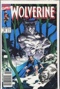 Wolverine #25 (1990) Wolverine