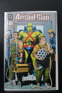 Animal Man #9 (1989)