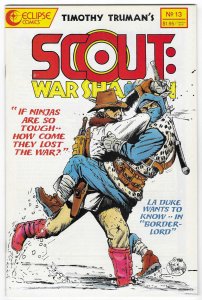 Scout: War Shaman #13 (1989)