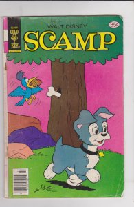 Scamp #42