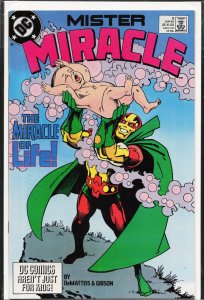 Mister Miracle #5 (1989) Mister Miracle