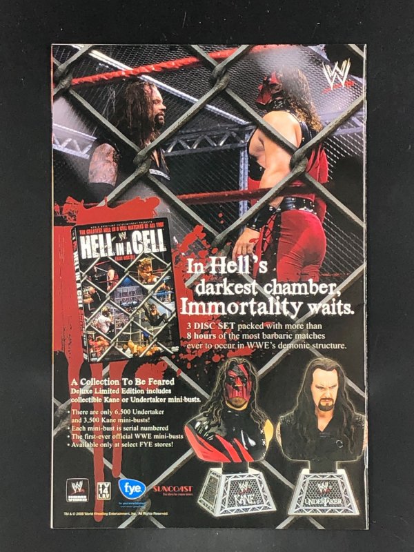 Vixen: Return of the Lion #1 (2008)