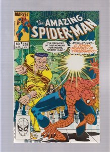 Amazing Spider Man #246 - John Romita Jr. Art! (8.0) 1983