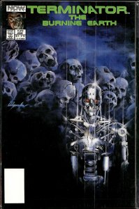 The Terminator: The Burning Earth #4 (1990) The Terminator