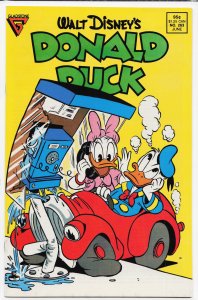 Donald Duck #263 (1988)
