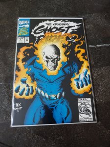 Ghost Rider Saga #1 (2008)