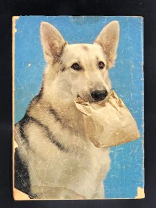 Four Color #434 (1952) Rin-Tin-Tin in Dark Danger