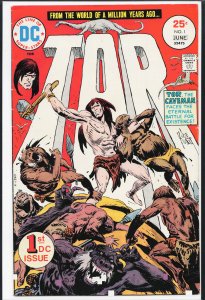 Tor #1 (1975) Tor