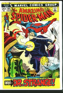 The Amazing Spider-Man #109 (1972)