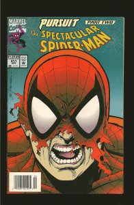 Marvel Comics The Spectacular Spiderman Vol 1 No 211 April 1994