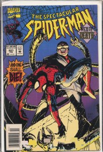 The Spectacular Spider-Man #221 (1995) Spider-Man