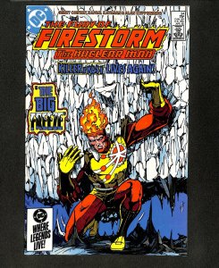 Fury of Firestorm (1982) #34