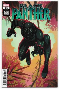 Black Panther #23 Souza Black History Variant (Marvel, 2021) NM