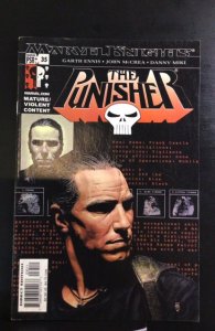 The Punisher #35 (2004)