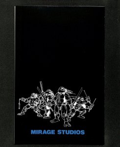 Teenage Mutant Ninja Turtles #13