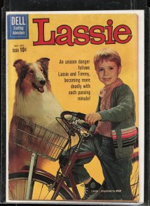 Lassie #51