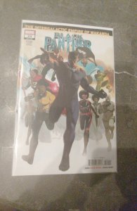 Black Panther #24