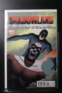 Shadowland #4 (2010)
