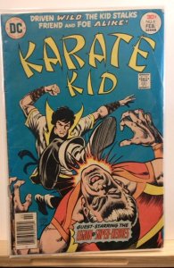 Karate Kid #6 (1977)