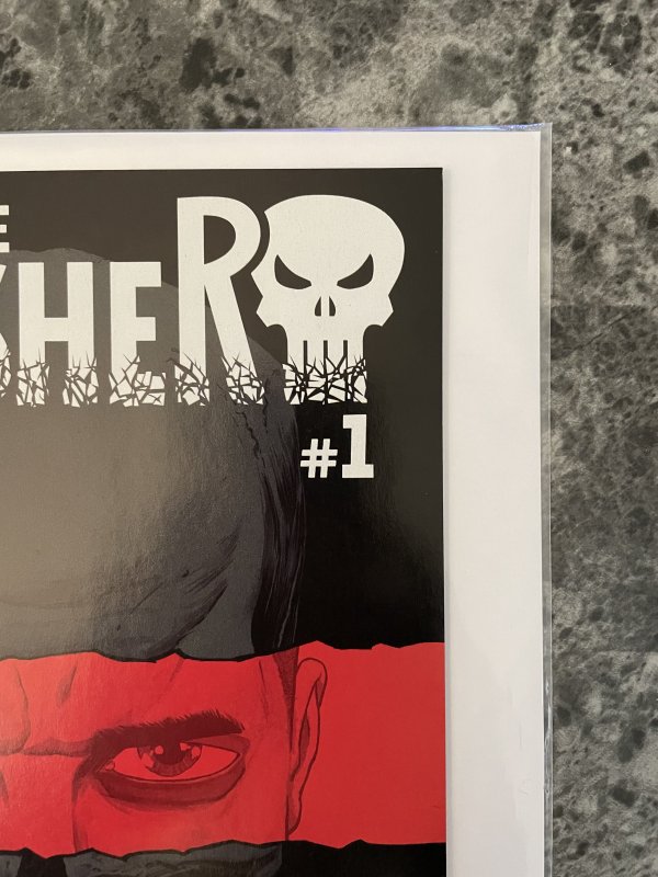 The Punisher #1 (2016)