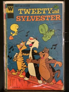 Tweety and Sylvester #63