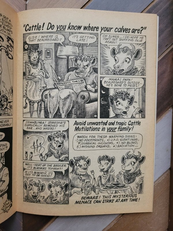 COVER-UP LOWDOWN #1 (Rip Off Press 1977) First Print Underground Comics, FN 6.0