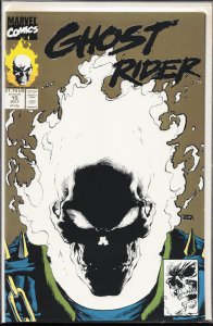 Ghost Rider #15 Second Print Cover (1991) Ghost Rider