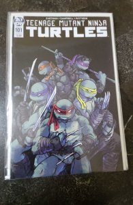 Teenage Mutant Ninja Turtles #101 (2019)