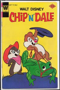 Walt Disney Chip 'n' Dale #43 (1976) Chip 'n' Dale