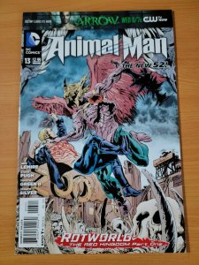Animal Man #13 ~ NEAR MINT NM ~ 2012 DC Comics