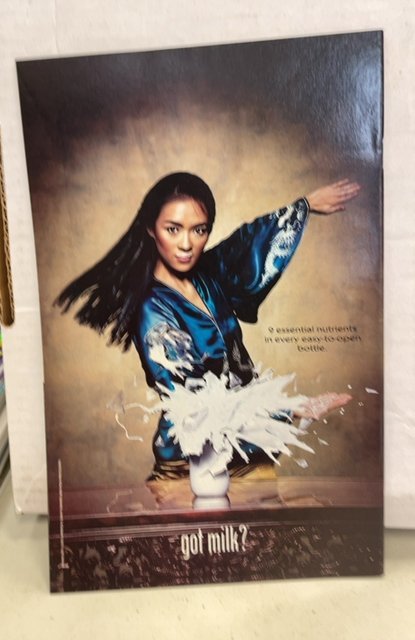 Young Justice #47 (2002)