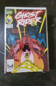 Ghost Rider #8 (1990)