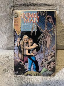 Animal Man #55 (1993)