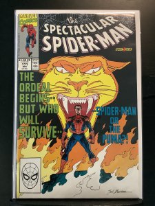 The Spectacular Spider-Man #171 Direct Edition (1990)
