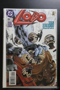Lobo #29 (1996)