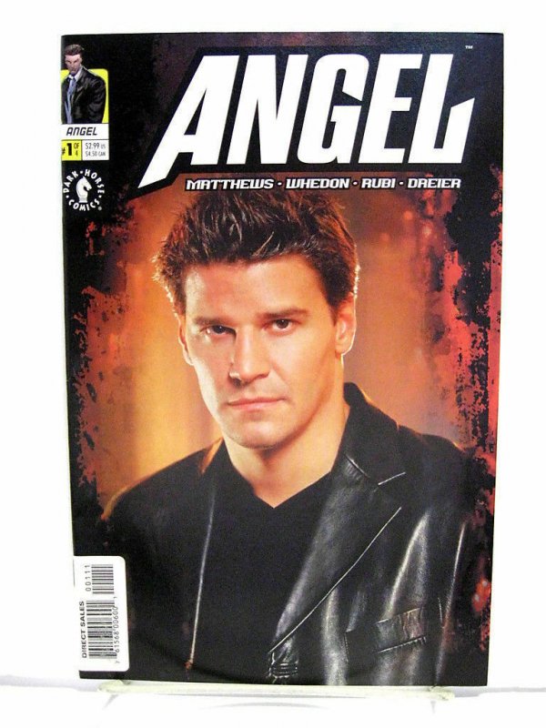 *Angel (WHEDON) 2 LOTS. Dark Horse ('01) #1-17. The Curse (IDW) #1-5. 12 Books!