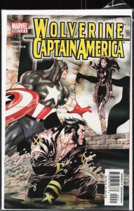 Wolverine Captain America (2004) #2