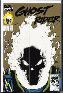 Ghost Rider #15 Second Print Cover (1991) Ghost Rider