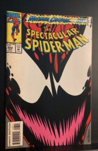 The Spectacular Spider-Man #203 (1993)
