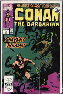 Conan the Barbarian #237 (1990) Conan